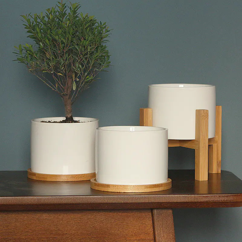 Minimalist Ceramic Flower Pot with Bamboo Stand