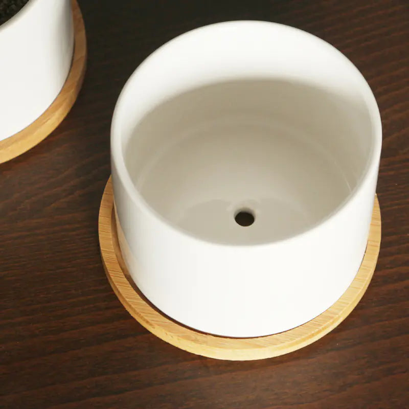 Minimalist Ceramic Flower Pot with Bamboo Stand