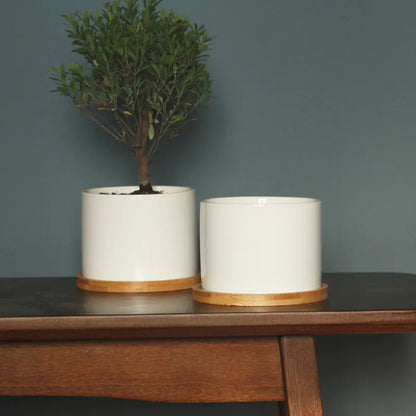 Minimalist Ceramic Flower Pot with Bamboo Stand